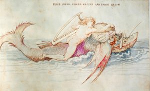 Arione salvato da un delfino da Albrecht Dürer